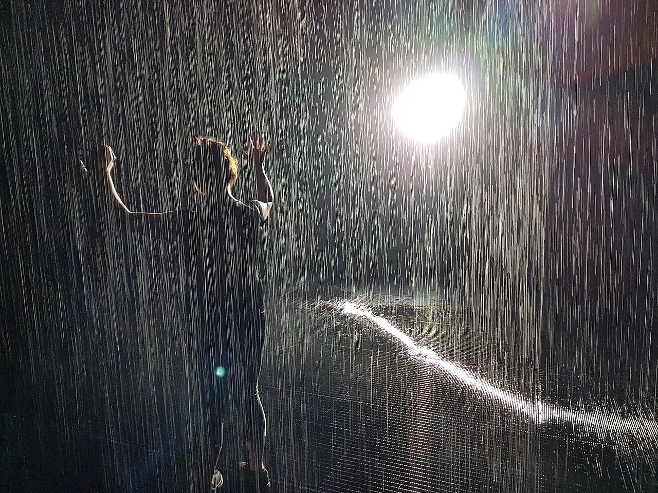 Rain Room installation, Sharjah — visitors standing dry in falling rain